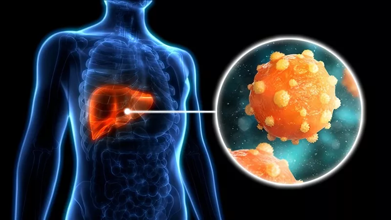 Il vaccino contro l’epatite B non è “efficace per la vita”! In questa situazione è necessaria la rivaccinazione